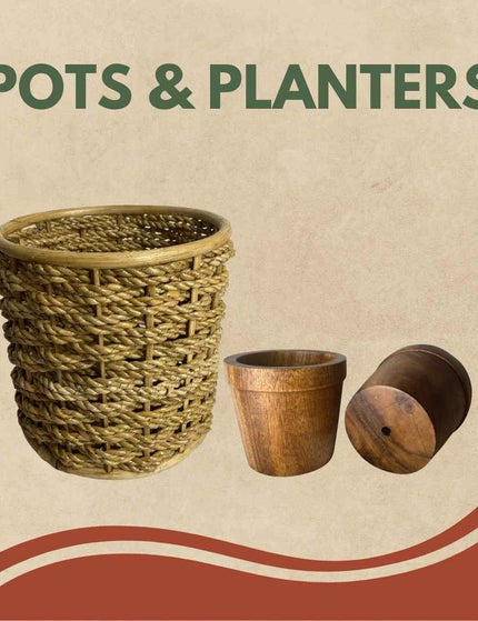 Collection image for: Pots and Planters